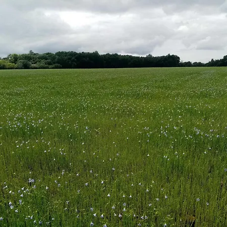 펜션 La Ginestiere Villematier