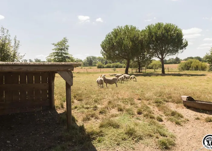 펜션 La Ginestiere Villematier