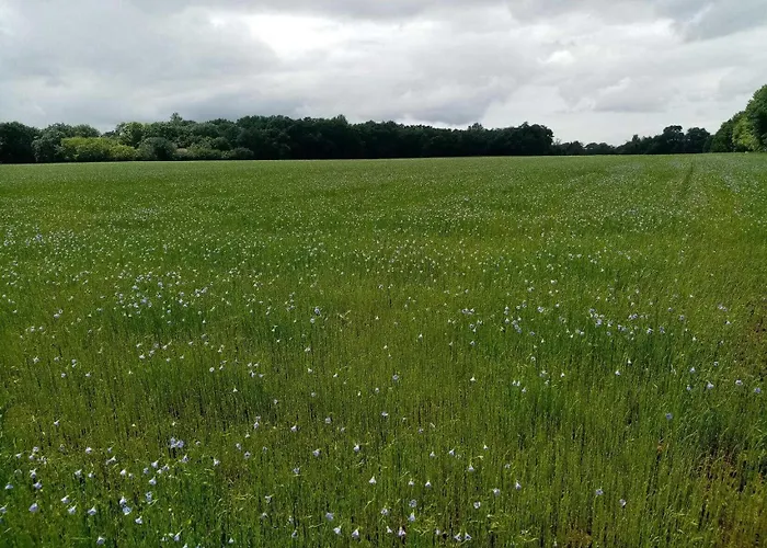 펜션 La Ginestiere Villematier