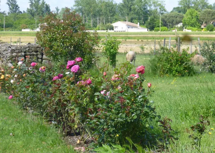 펜션 La Ginestiere Villematier