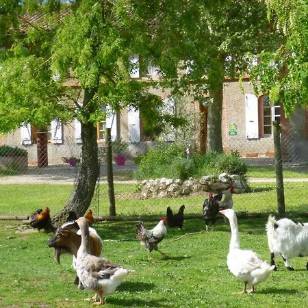 La Ginestiere Dom wakacyjny *