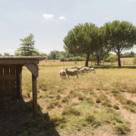 Dom wakacyjny La Ginestiere Villematier