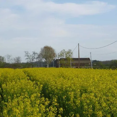 La Ginestiere * Villematier