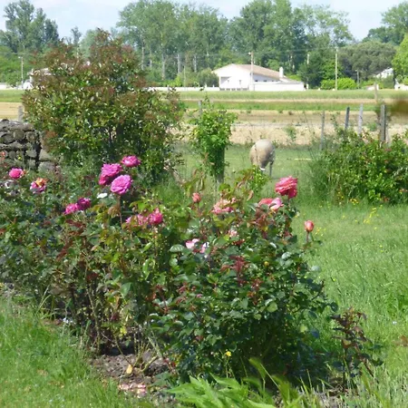 Dom wakacyjny La Ginestiere Villematier