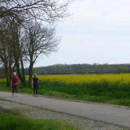 La Ginestiere Dom wakacyjny Villematier