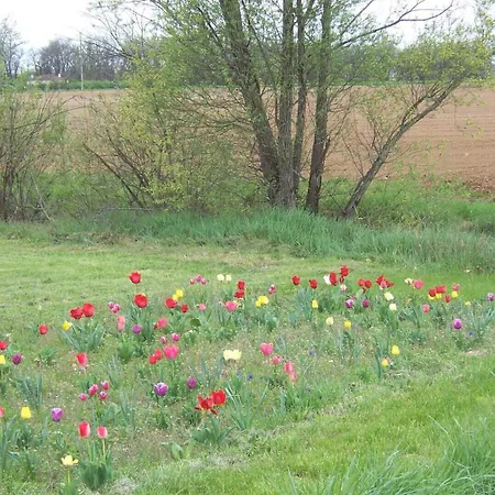 Dom wakacyjny La Ginestiere *