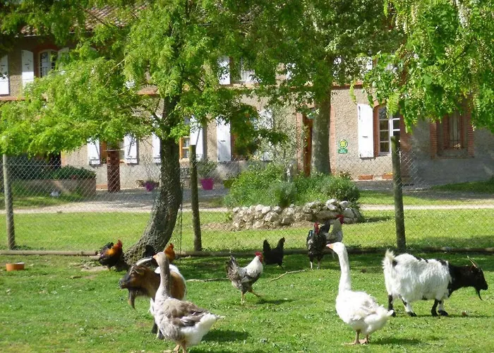 La Ginestiere Casa vacanze *