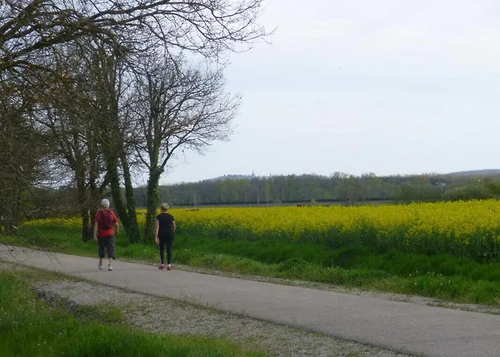 La Ginestiere Σπίτι διακοπών Villematier
