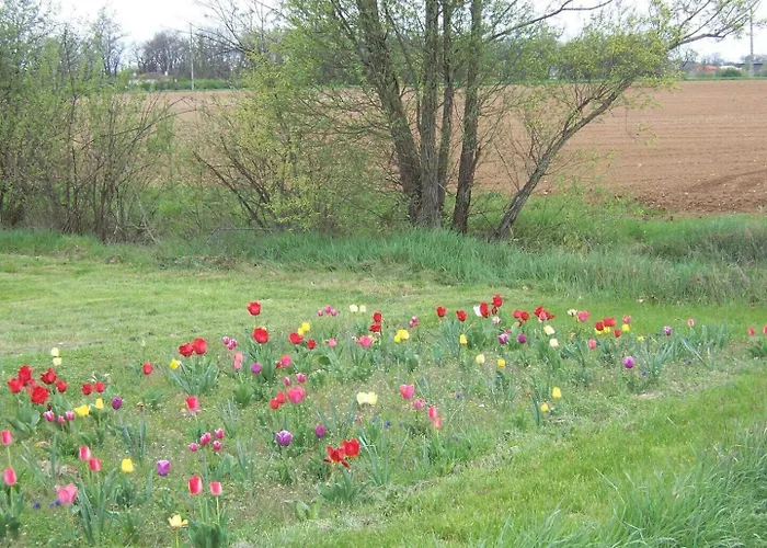 Σπίτι διακοπών La Ginestiere *
